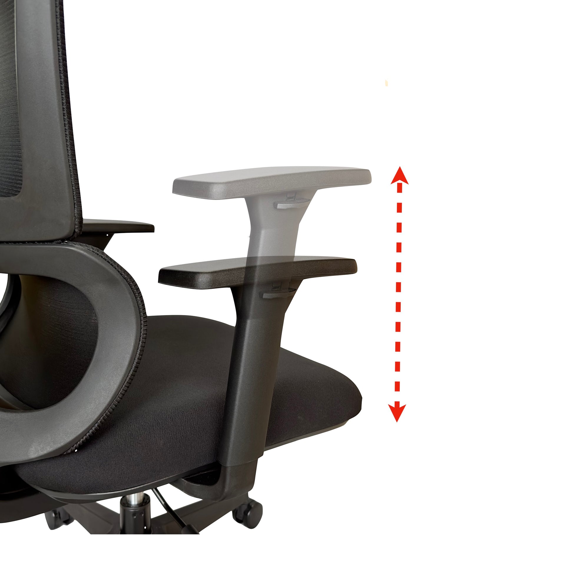 APOLLO Chair - Premium Office chair from ARMORI - Just Rs. 14600! Shop now at ARMORI